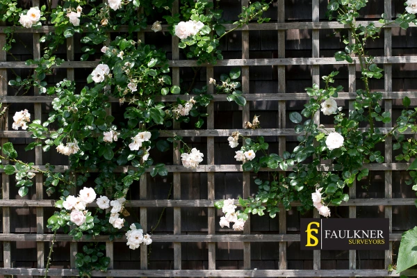 Can I put trellis on my Neighbours garage wall? 2 Do you want to adapt your neighbours garage door and add a trellis Watford? Talk to Faulkner Surveyor Watford
